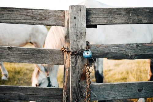 old-locked-fence-2210x1475